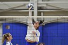 Volleyball vs Babson  Wheaton Women's Volleyball vs Babson College. - Photo by Keith Nordstrom : Wheaton, Volleyball, VB